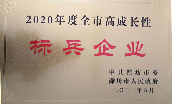 濰坊市標(biāo)兵企業(yè)
